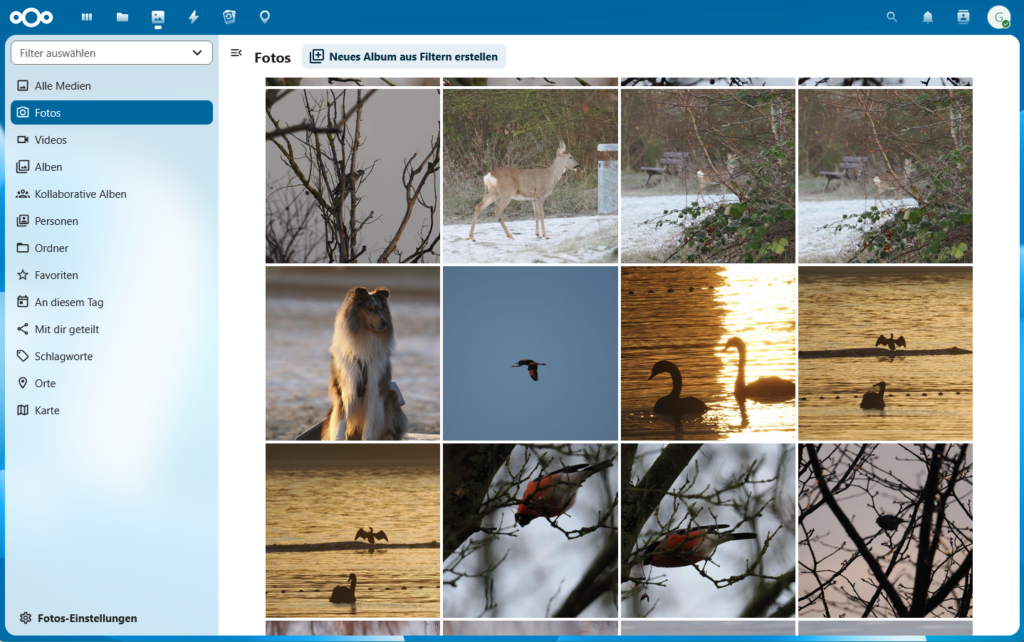 Screenshot der Fotoverwaltung von Nextcloud. Zu sehen sind mehrere Reihen von Vorschaubildern von einem Reh, einem Hund und verschiedenen Vögeln in Bäumen, im Wasser und in der Luft. Links davon ist die Navigation mit Menüpunkten wie "Alle Medien", "Fotos", "Videos", "Alben", "Personen" und so weiter.