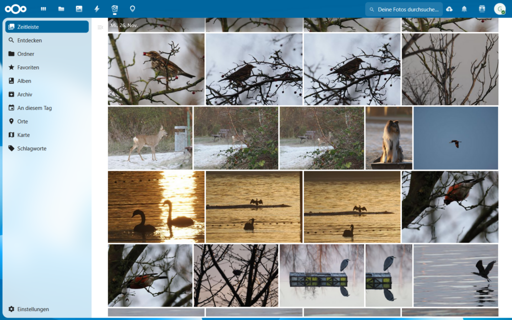 Screenshot der Memories App von Nextcloud. Zu sehen sind mehrere Reihen von Vorschaubildern von einem Reh, einem Hund und verschiedenen Vögeln in Bäumen, im Wasser und in der Luft. Links davon ist die Navigation mit Menüpunkten wie "Zeitleiste", "Entdecken", "Favoriten", "Alben", "An diesem Tag" und so weiter.